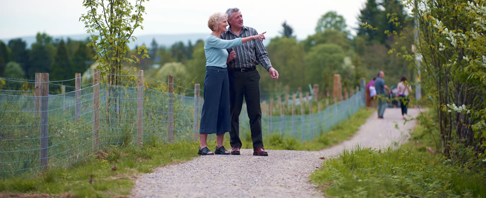 Couple Walking