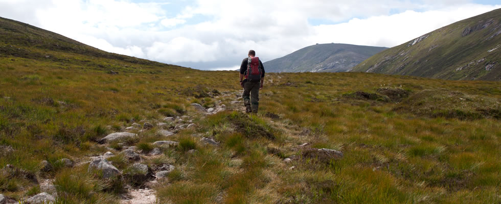 Walker on High Level Route